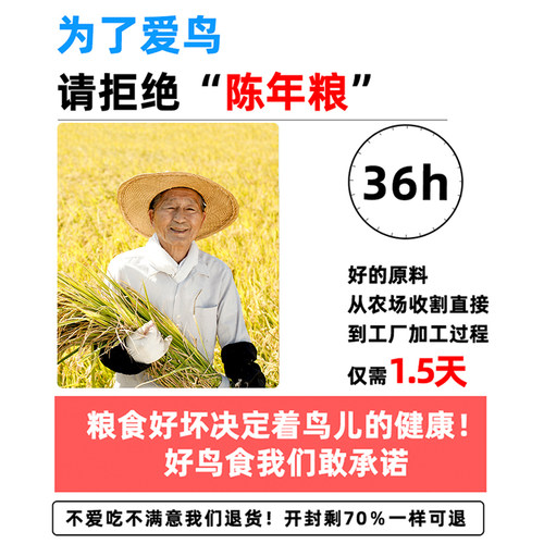 鹦鹉鸟粮饲料新黄谷子带壳小米虎皮鹦鹉饲料玄凤牡丹专用食物粮食 - 图3