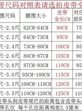 红蓝帆布皮带字母字母打孔休闲男