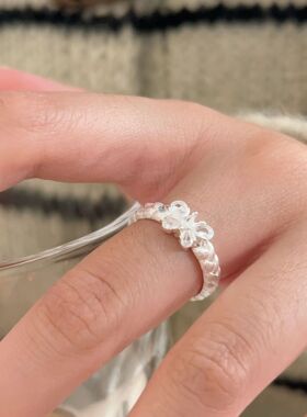 持恒S925纯银镶石蝴蝶戒指女简约时尚2024新款韩版百搭指环高级感