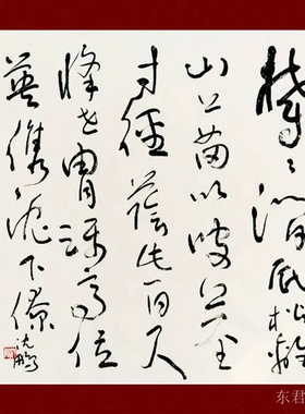 沈鹏书法斗方东君手写高仿书法