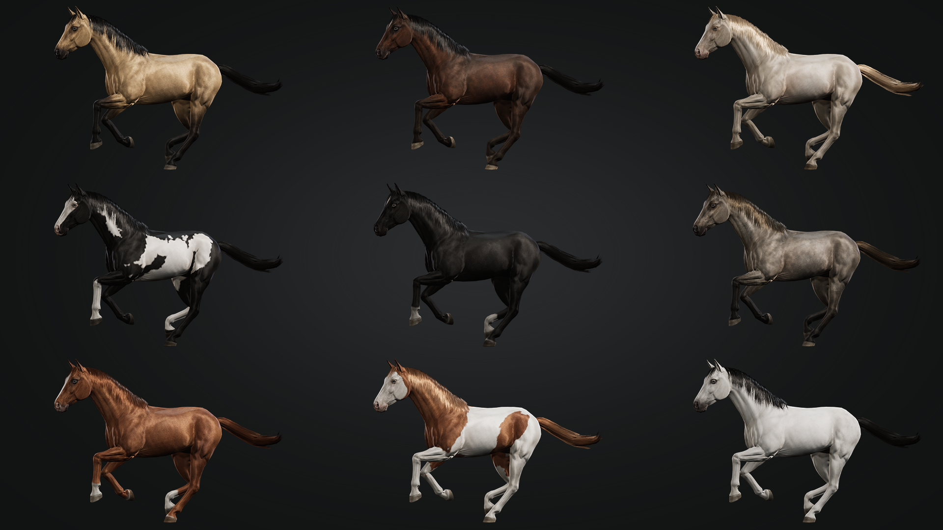 UE4虚幻5 Horse Herd V1 写实马群可自定义奔马3D模型带动画 - 图0