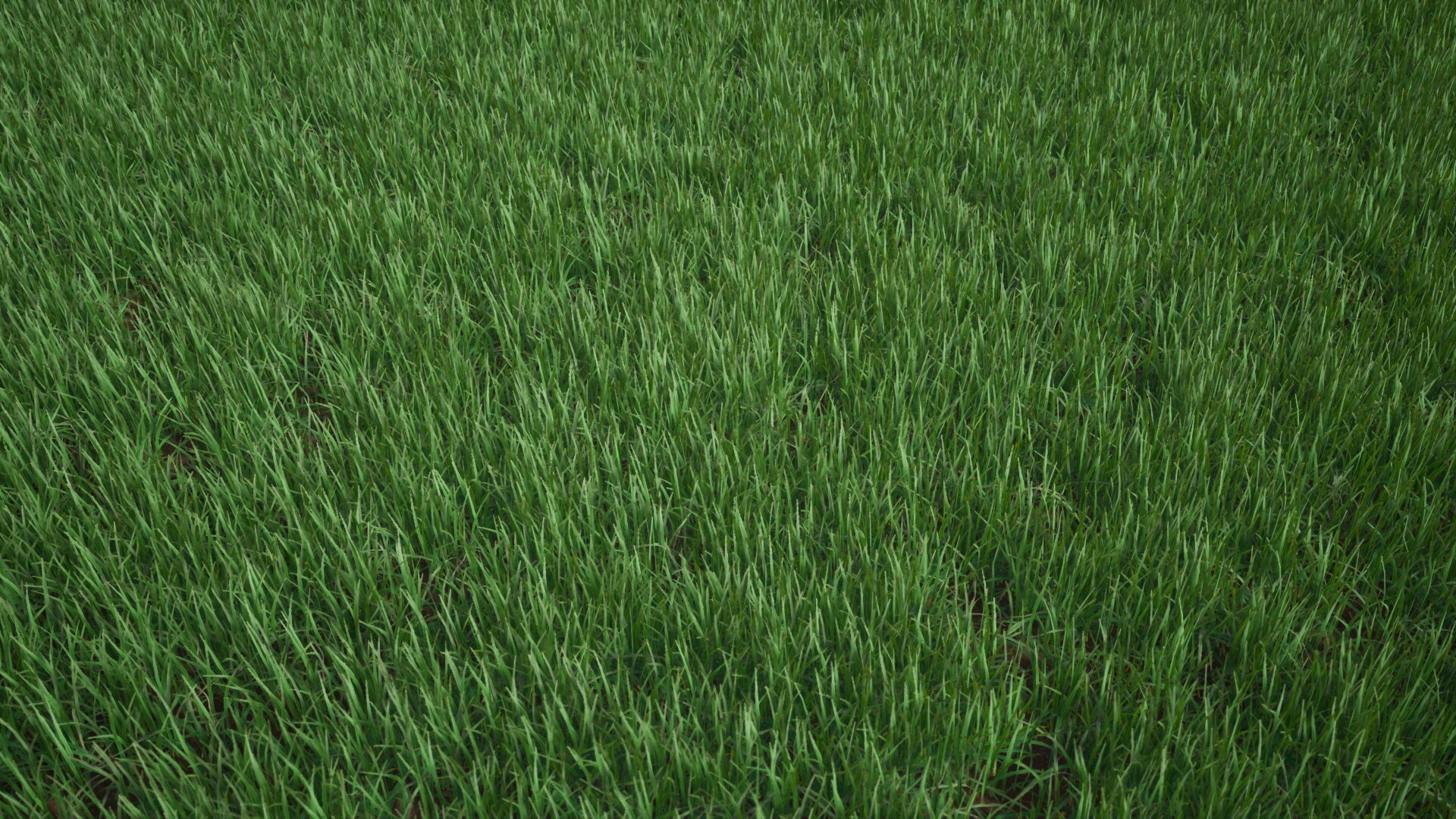 UE4虚幻5 Broadleaf Undergrowth 灌木丛落叶植被随风飘扬道具 - 图1