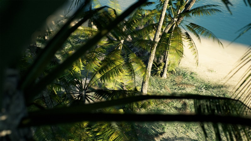 UE4虚幻5 Brushify- Tropical Pack写实阳光海岸椰树场景-图2