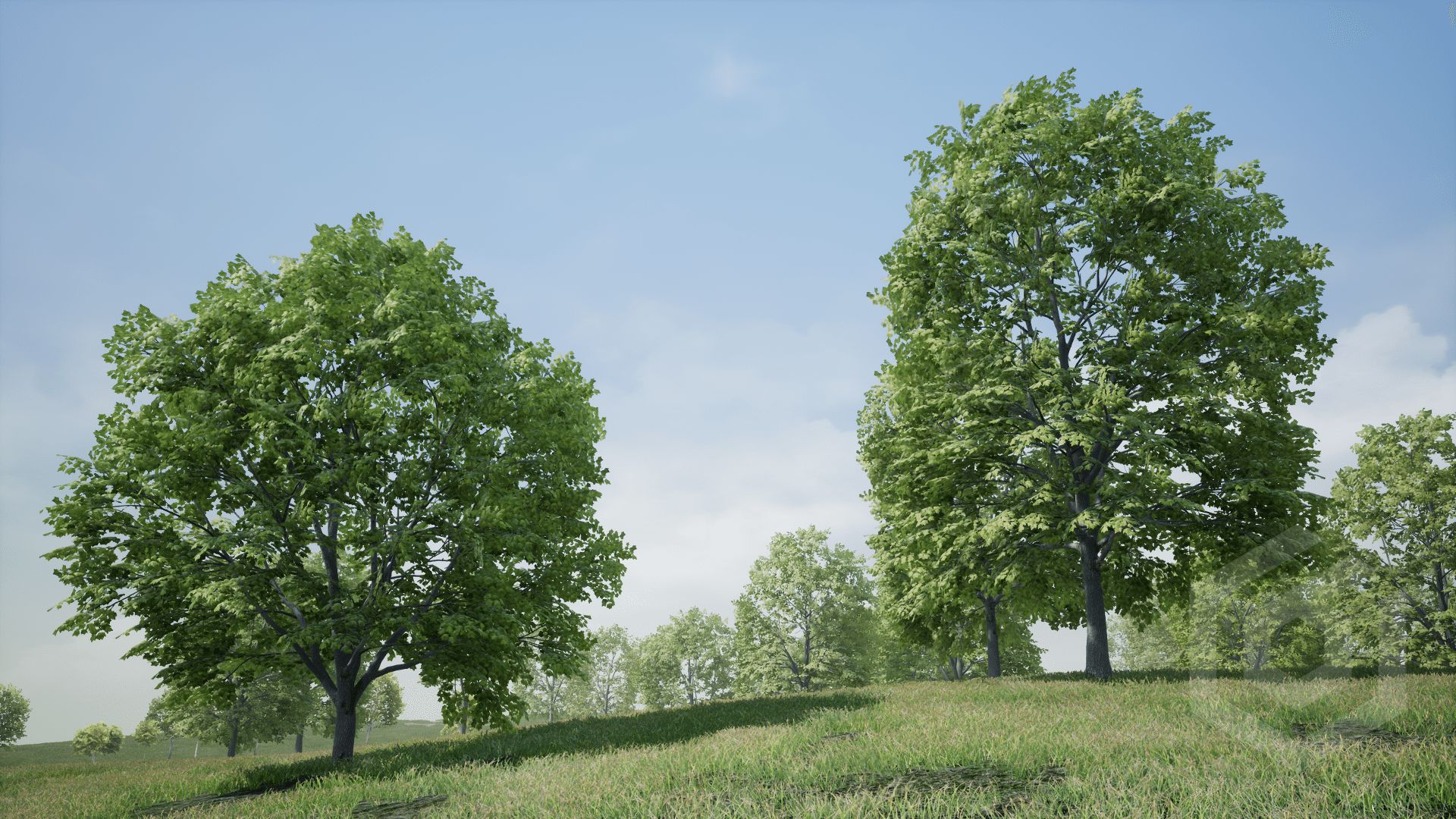 UE4虚幻5 Trees: Maple Tree 树木枫树森林道具合集 - 图2