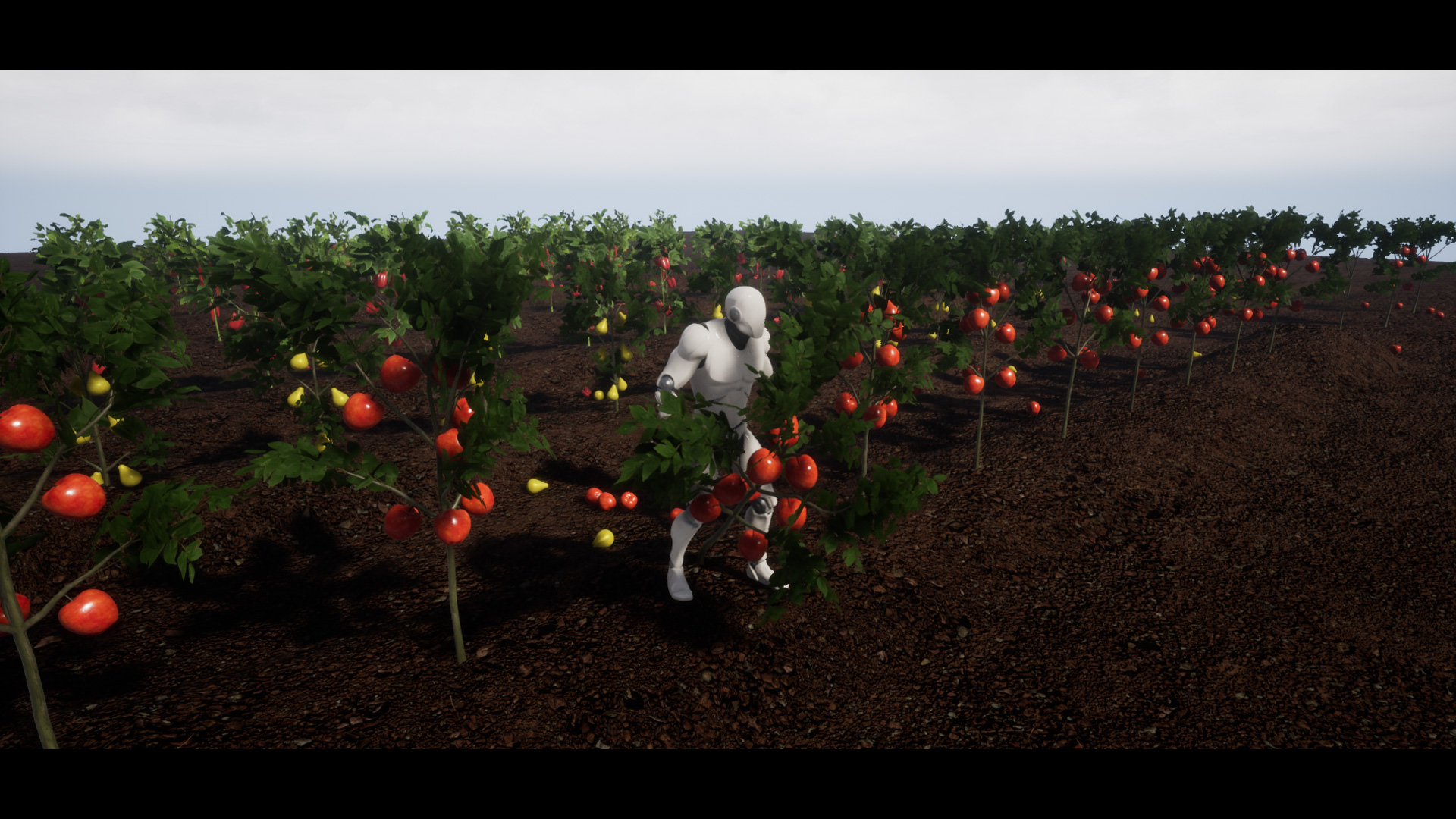 UE4虚幻5  Full Interactive Physic Plants with Fruits and Veg - 图0