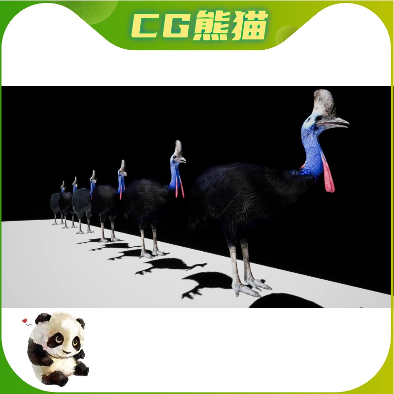 UE5虚幻5 Cassowary 食火鸡鹤鸵角色模型带动画 - 图1