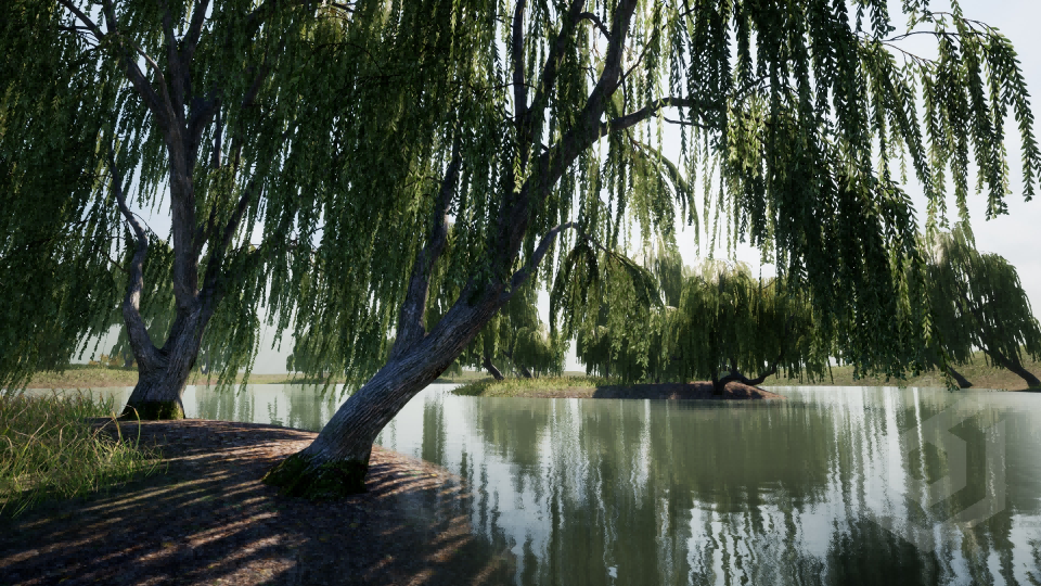 UE4虚幻5 Trees꞉ Willow tree 夏天秋天柳树树木模型道具 - 图0