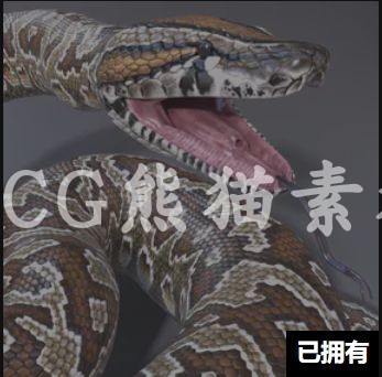 UE4虚幻5 Southern African Rock Python 南非岩蛇蟒蛇模型 - 图0