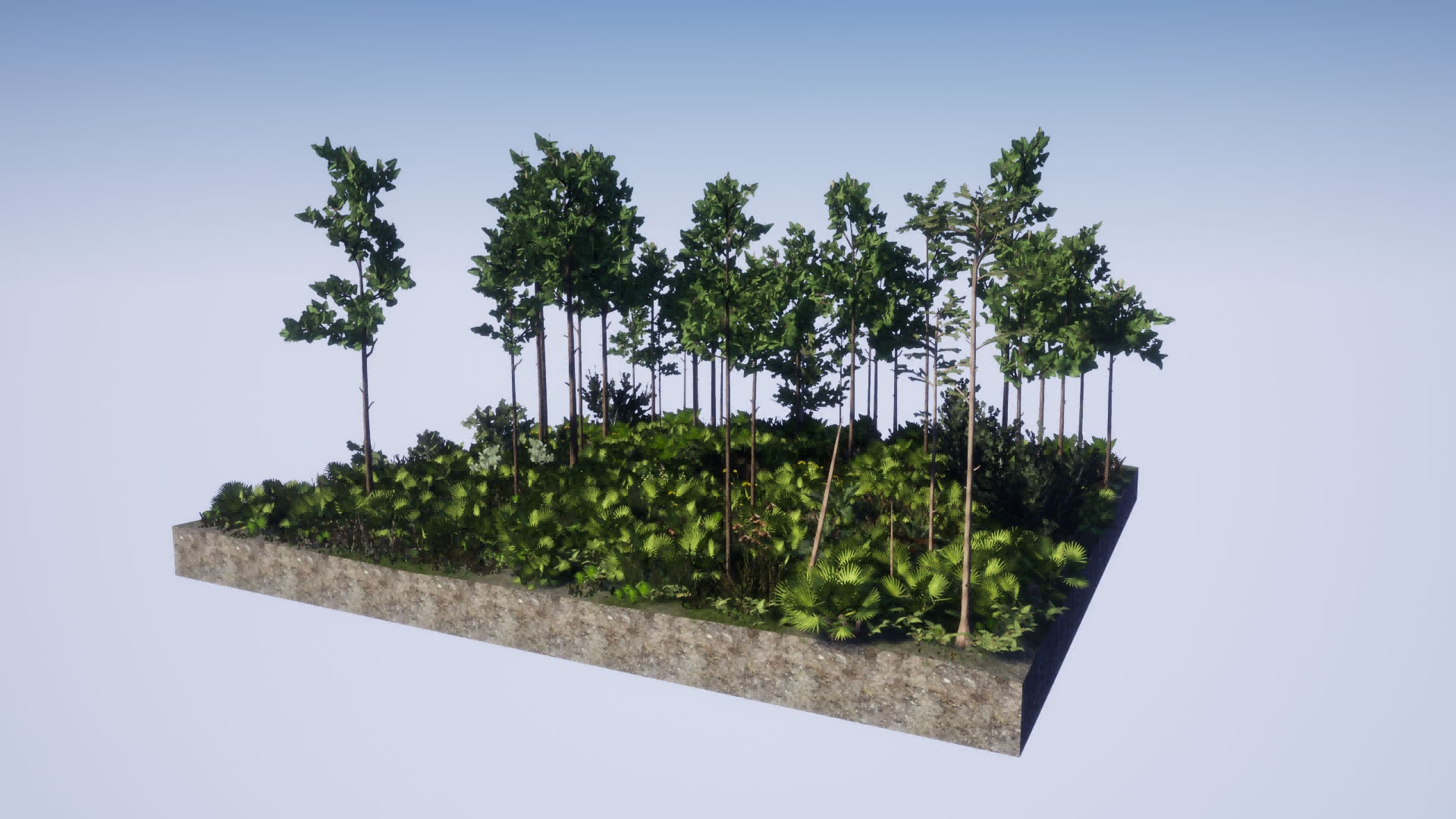 UE4虚幻5 Mesic Flatwoods Habitat Brush 美西木栖息地灌木 - 图2