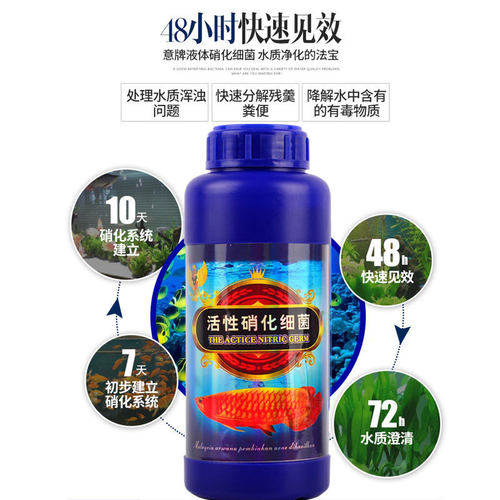 鱼用超级硝化系统活性细菌消化活菌锦鲤专用净水剂鱼缸养鱼用品液 - 图1