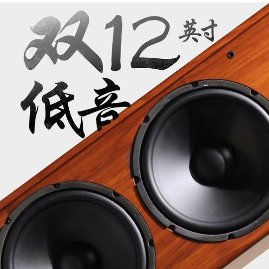 班龙H29发烧级双12寸低音发烧级hifi落地三分频音箱音响木质无源