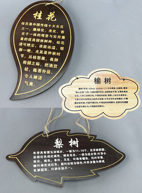 定制个性实木树牌户外简介植物挂牌介绍古树装饰牌创意实木质挂牌