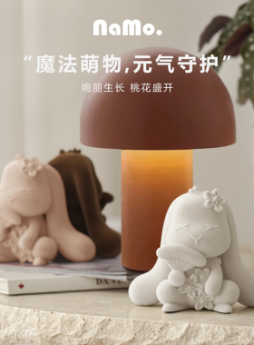 纳茉桃花兔本命年生日礼物送朋友