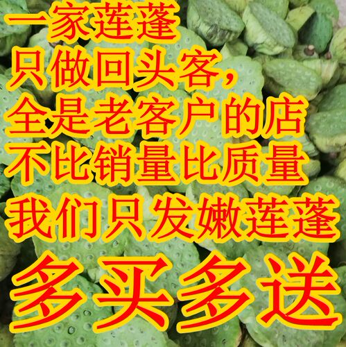 新鲜嫩莲蓬现摘新鲜嫩莲子洪湖农家生吃水果清甜零食15个起发 - 图2