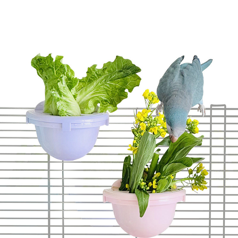 鹦鹉蔬菜大福水培瓶果蔬滤水篮悬挂式小鸟果蔬架蔬菜保鲜罐谷穗夹,淘宝优惠券,粉丝福利购,淘宝优惠卷