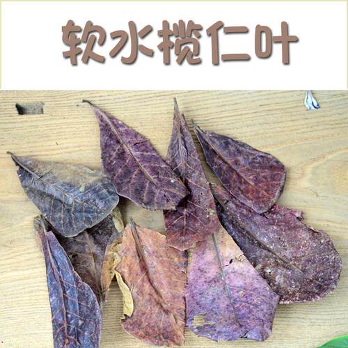 榄仁叶懒人叶斗鱼繁殖埃及短鲷罗汉定水降酸鱼缸水族增色 - 图0