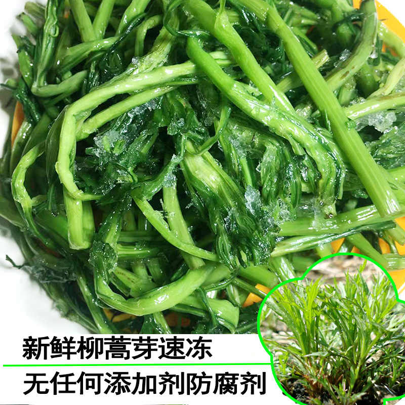 ベビーかぶ おりぬき菜 間引き菜 つまみ菜 ぬき菜 うろぬき菜 栽培期間中農薬節減 低農薬 １束 コンビニ受取対応商品