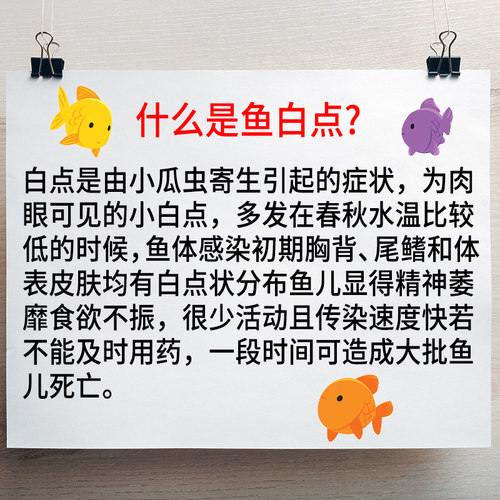 水霉克星白点净鱼药专治观赏鱼小瓜虫长白毛金鱼鱼缸鱼塘用白点病-图2