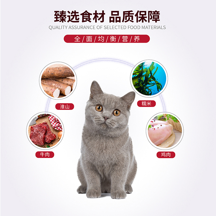 畅享猫粮室内成猫幼猫鸡肉淮山流浪猫粮英短猫粮 改善猫臭亮 促排优惠券