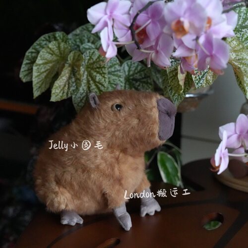 国内现货英国代购Jellycat卡皮巴拉水豚塔利龟capybara 豚门永存 - 图2