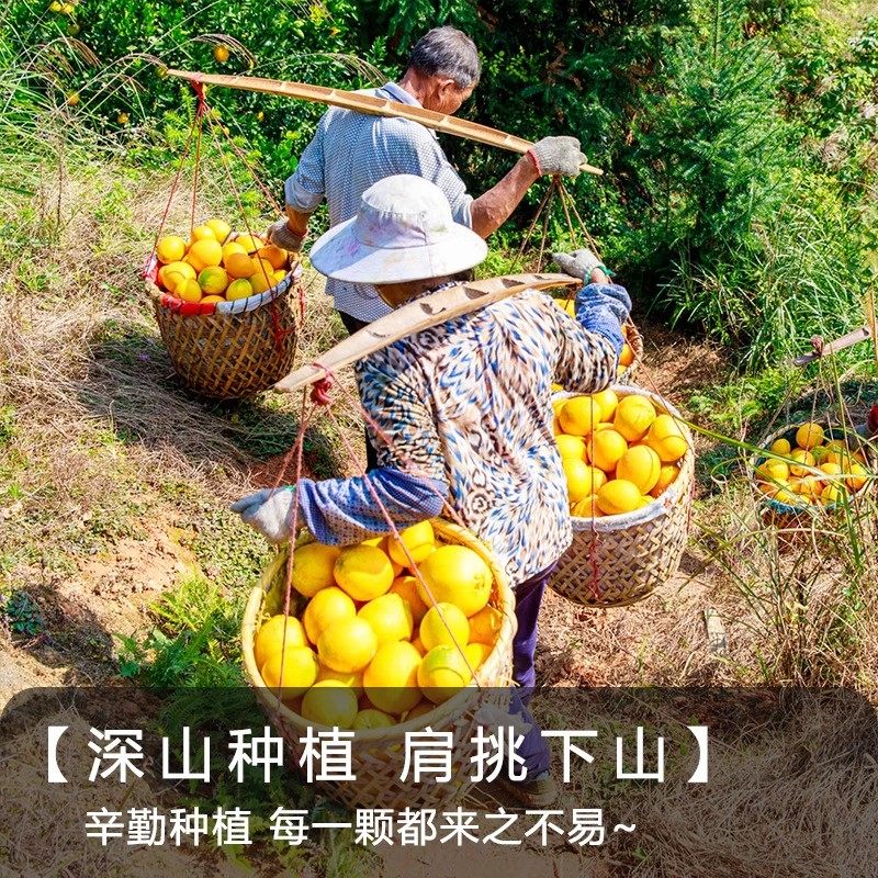 正宗江西赣南脐橙新鲜水果橙子10斤20斤装赣州自家果园现摘直发,淘宝优惠券,粉丝福利购,淘宝优惠卷