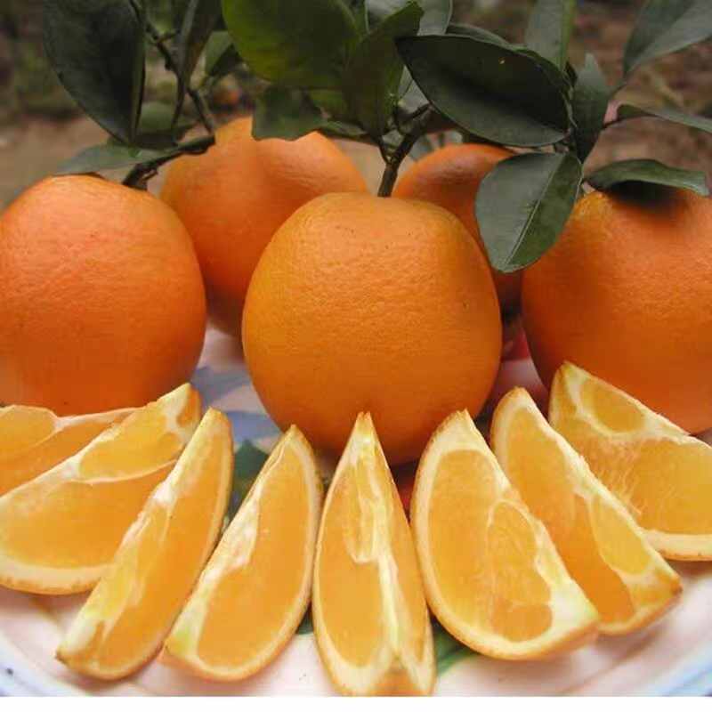 正宗江西赣南脐橙新鲜水果橙子10斤20斤装赣州自家果园现摘直发,淘宝优惠券,粉丝福利购,淘宝优惠卷