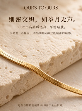 925银蛇骨链情侣纪念锁骨链