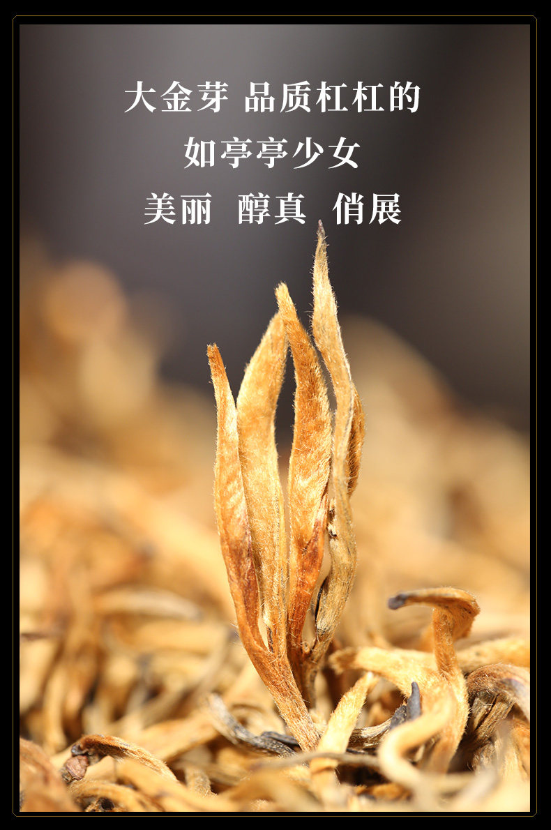 新益号大金芽500g云南2016滇红茶 新购普洱茶滇红