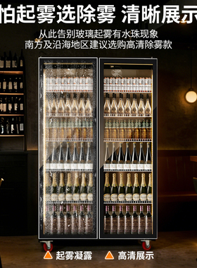 志高饮料展示柜立式冷藏冰柜