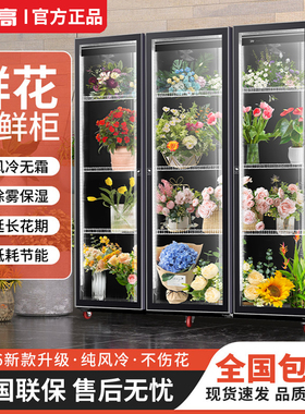 志高花店风冷无霜鲜花保鲜柜