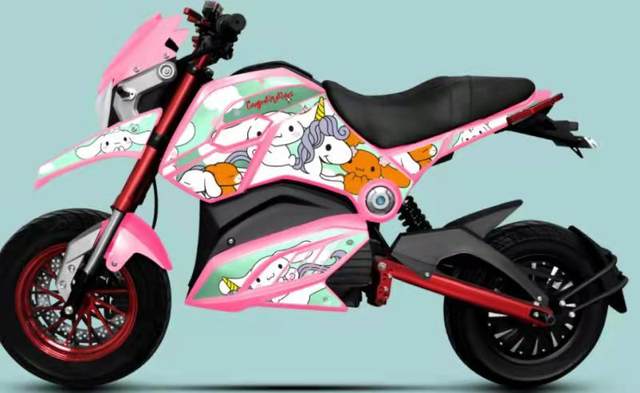 Wangjiang Yima Houni plastic motorcycle shell