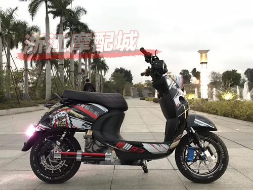 欧版小龟王电镀加长龟5新款大嘴猴外壳 电镀紫烤漆件电动车壳 - 图2