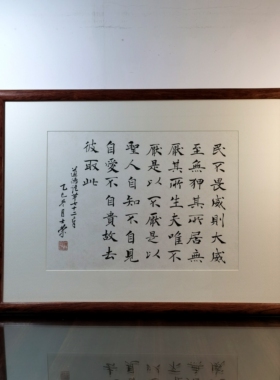民不畏威则大威至无狎其所居无厌其所生道德经书法真迹花梨木框