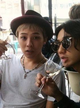 日韩百搭夸张个性两片叶子耳羽毛