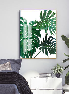 绿色植物香蕉树热带大叶子装饰画