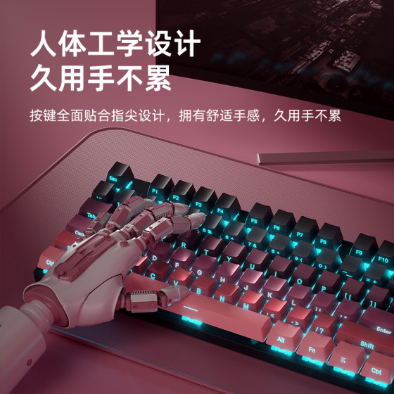 HP wired gradient keycap true mechanical keyboard
