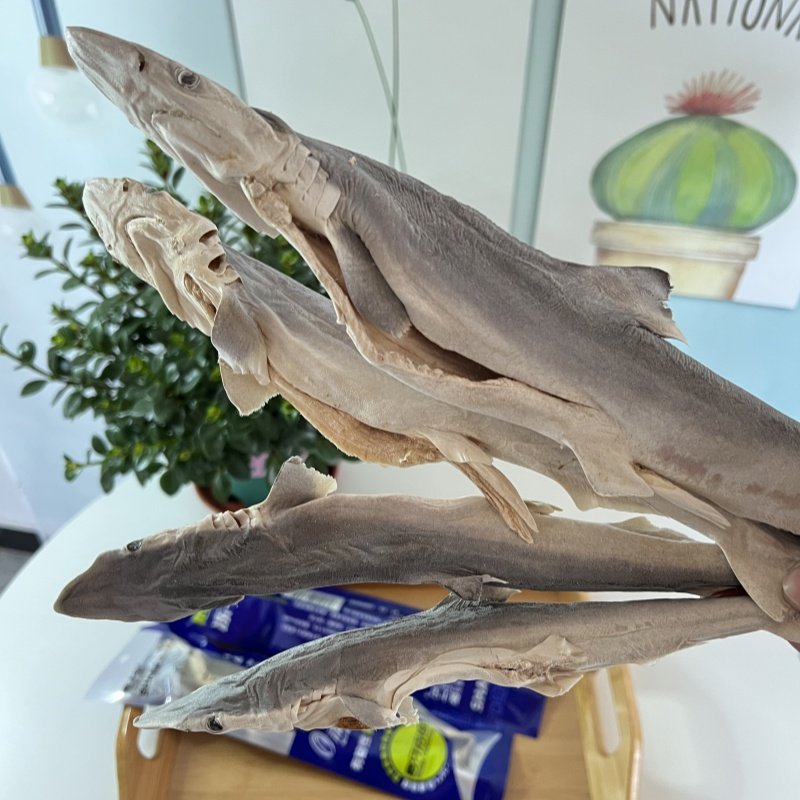 狗狗零食鲨鱼冻干幼犬磨牙小型犬大狗补钙长肉美毛宠物猫咪鱼干,淘宝优惠券,粉丝福利购,淘宝优惠卷