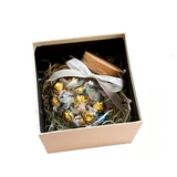 Баллон -конфеты танк с закусками сухой фрукты