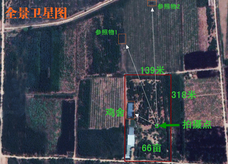 正宗散养三年土鸡老母鸡农家纯粮新鲜柴草笨有机公鸡乌鸡月子鸡 - 图3