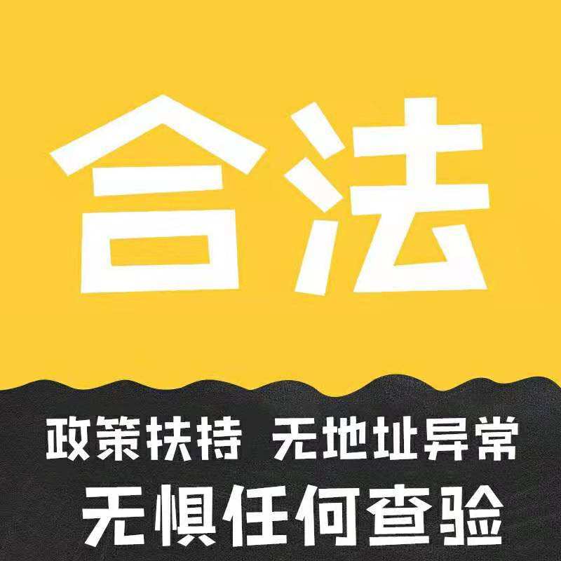 西安大连西岗甘井子沙河口中山注册个体工商户公司营业执照出版物 - 图0