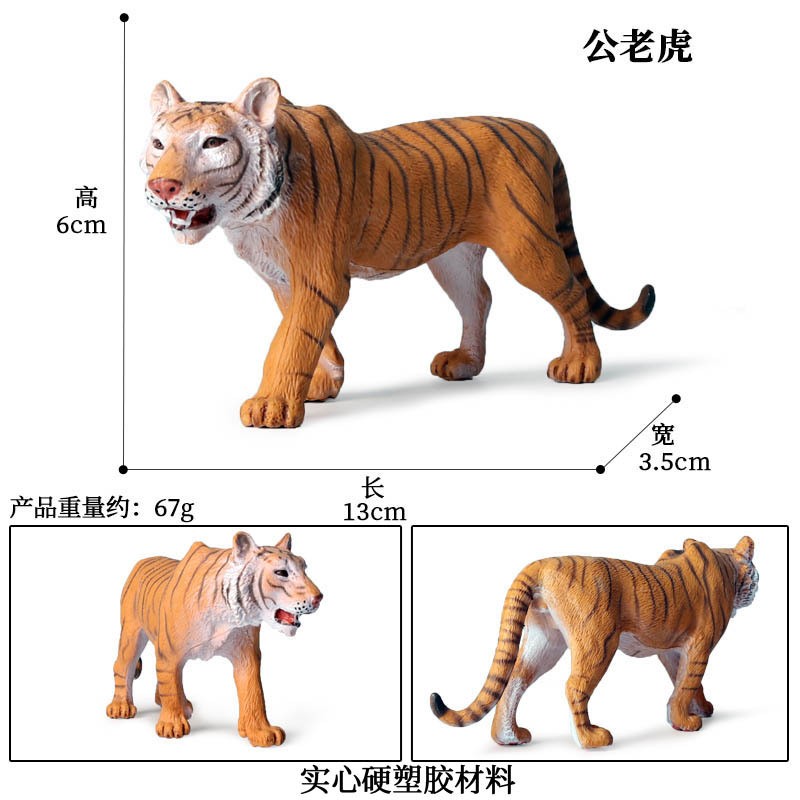 仿真野生动物实心老虎模型东北虎孟加拉虎套装摆件儿童玩具科教认 - 图0