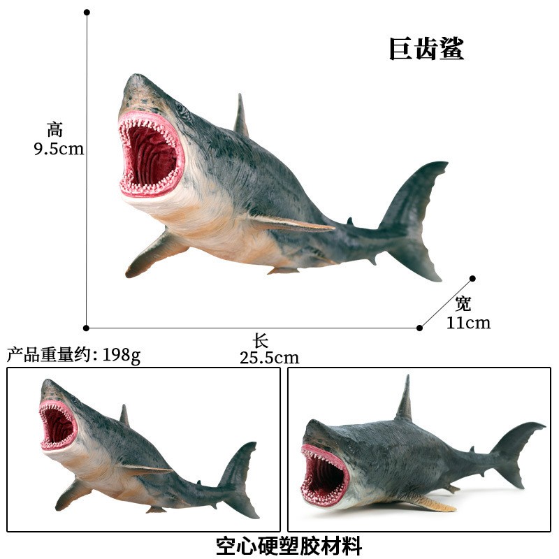 儿童玩具仿真动物鲨鱼海洋生物模型大白鲨巨齿鲨蓝鲸虎鲨摆件男孩