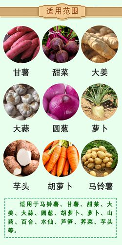 天达2116地下根茎地专用马铃薯甜菜大蒜生根壮苗氨基酸水溶肥料 - 图2