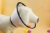 Elizabeth Circle Dog Cổ áo Dog Head Set Cat Cổ áo Cat Head Cover Chống Bite Circle Extra Bit Bit lớn Bảo vệ - Cat / Dog Beauty & Cleaning Supplies Cat / Dog Beauty & Cleaning Supplies