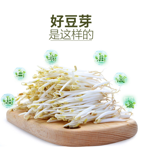 和德坊全自动豆芽机家用发芽盆培育器陶瓷豆芽罐非紫砂不红不苦 - 图1