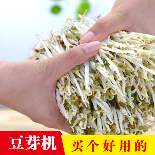 和德坊全自动豆芽机家用发芽盆培育器陶瓷豆芽罐非紫砂不红不苦 - 图0