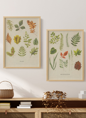 植物之叶客厅卧室沙发酒店自然植物花卉装饰画挂画艺术框油画壁画
