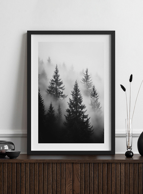 雾隐之森客厅卧室沙发风景森林自然植物装饰画挂画艺术框油画壁画