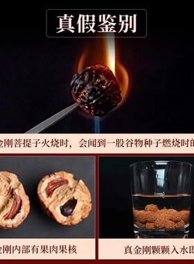 正宗尼泊尔金刚菩提手串天然金刚子男设计款文配饰手链女厂家直销