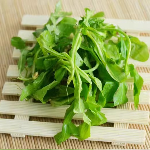 云南新鲜荠菜5斤 鲜荠菜现挖野生荠菜野菜白花饺子馅应当季鲜蔬菜 - 图3